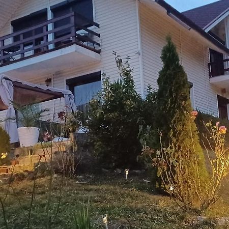 Casa Irina Villa Karácsonkő Kültér fotó