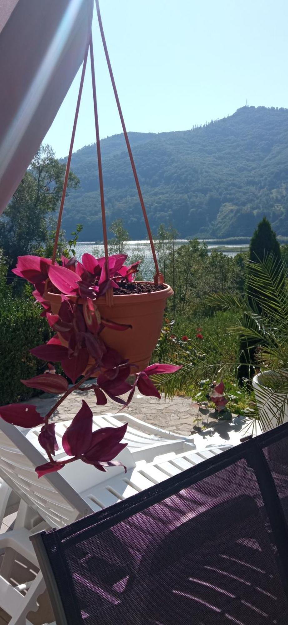 Casa Irina Villa Karácsonkő Kültér fotó