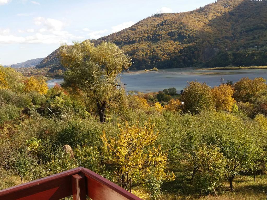 Casa Irina Villa Karácsonkő Kültér fotó