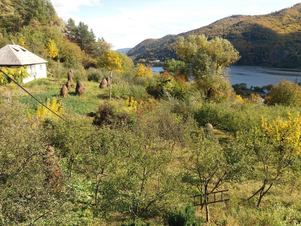 Casa Irina Villa Karácsonkő Kültér fotó