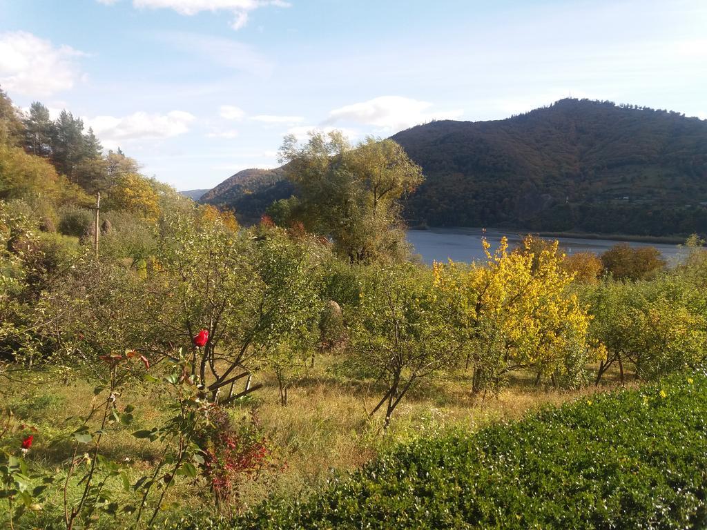 Casa Irina Villa Karácsonkő Kültér fotó